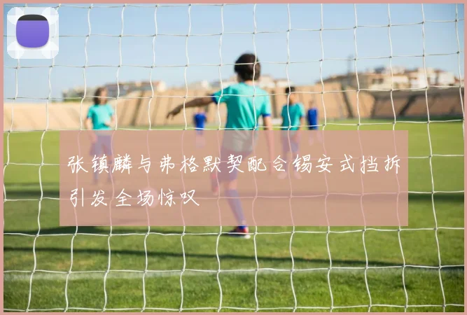 张镇麟与弗格默契配合锡安式挡拆引发全场惊叹
